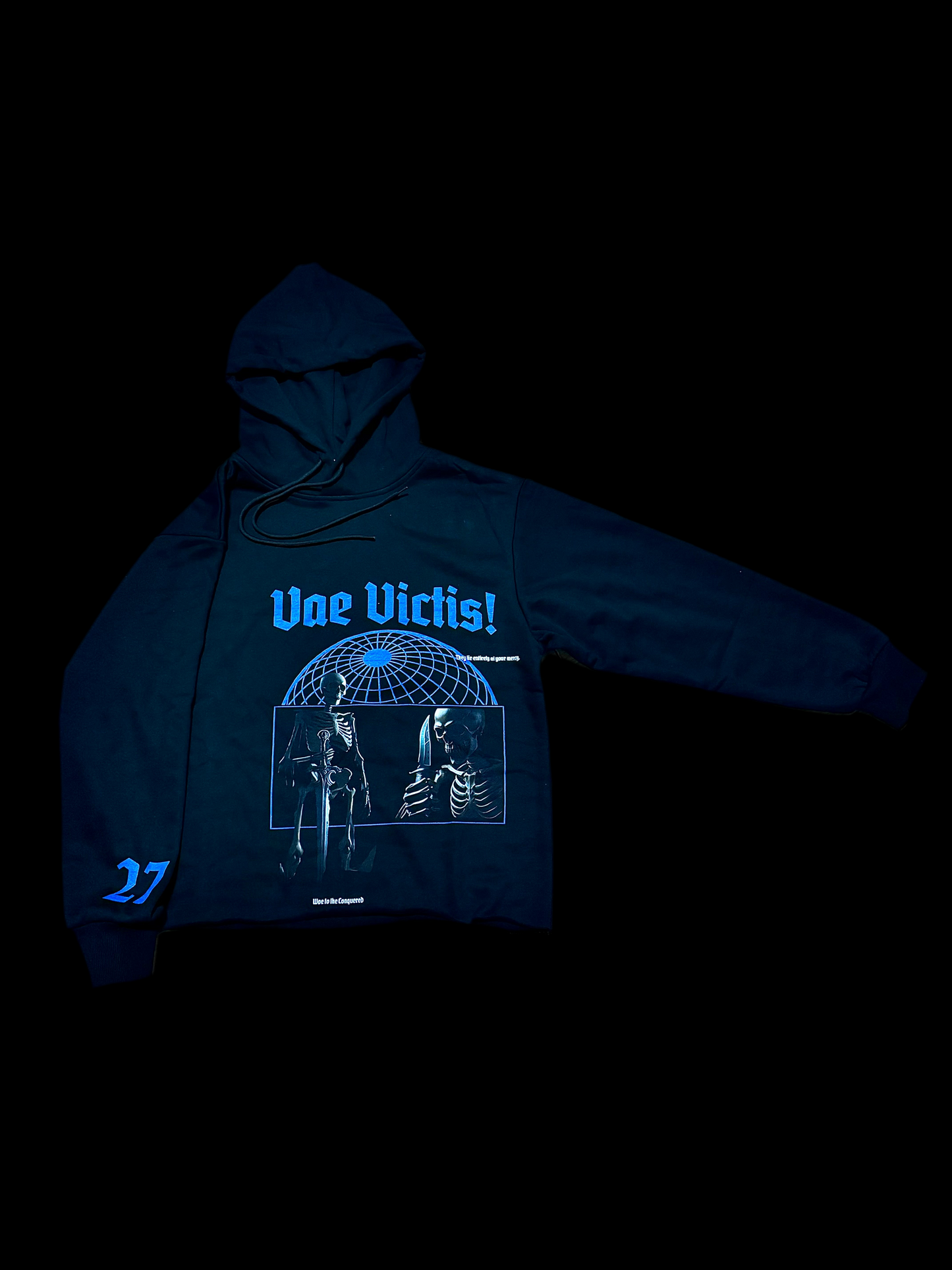 Vae Victis Hoodie